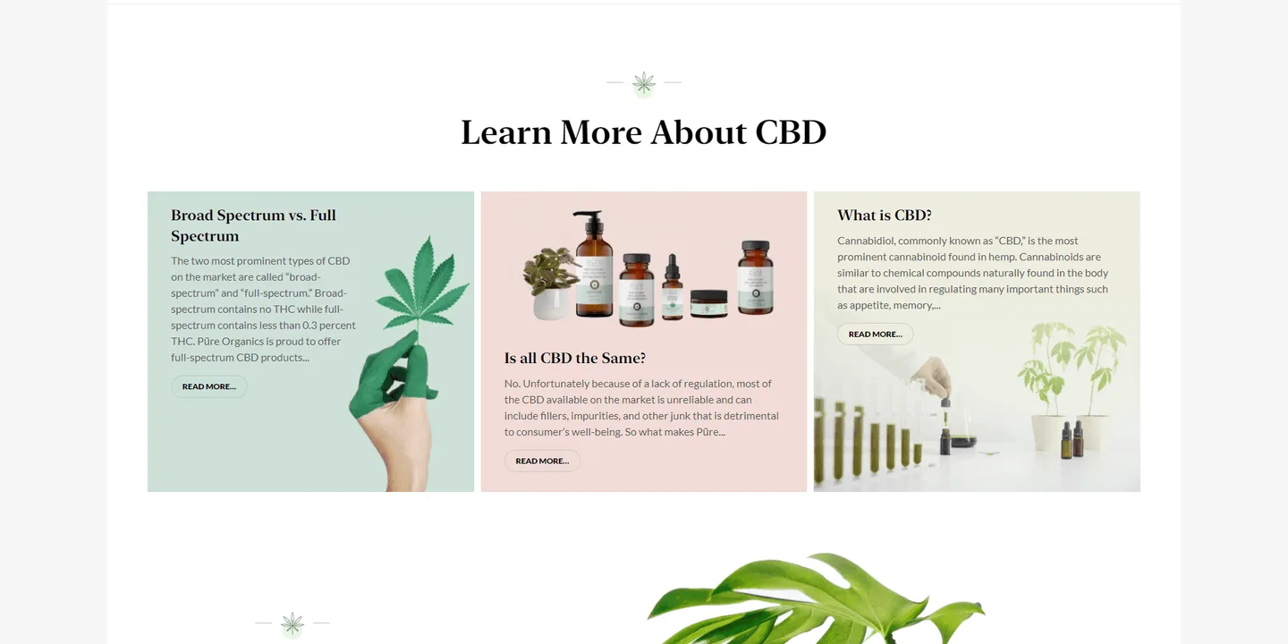 Pure CBD Oil Shop: another section of the website