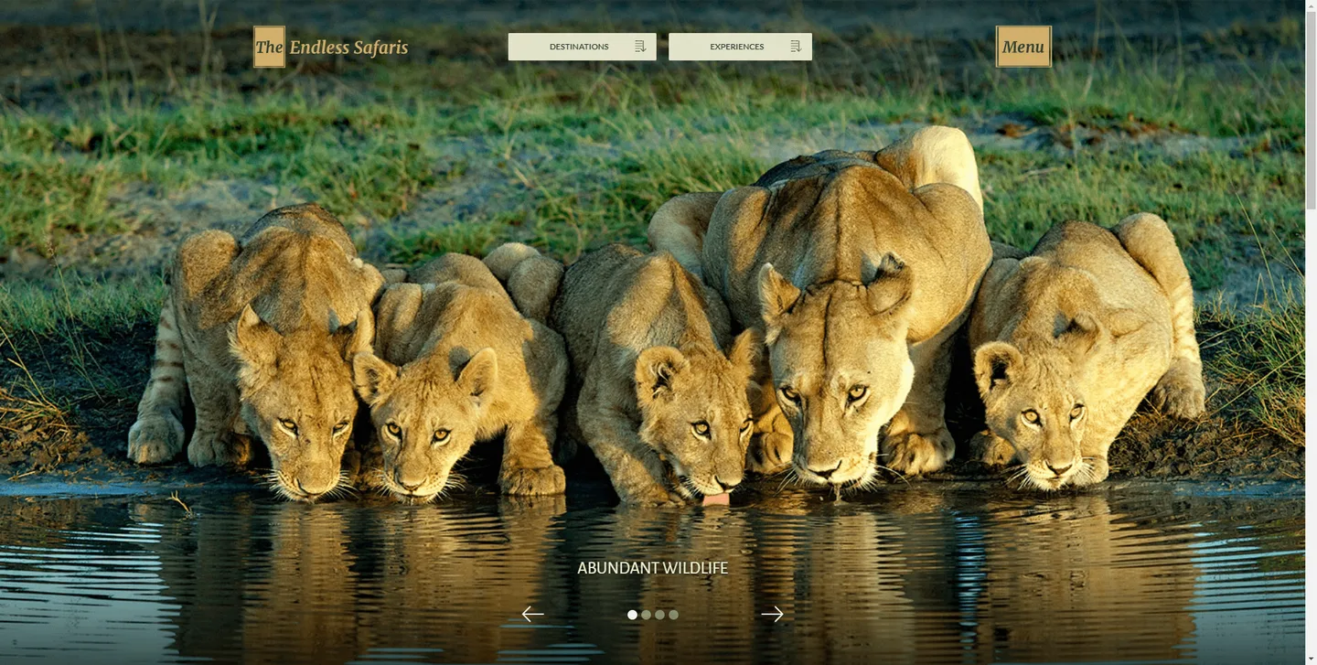 The Endless Safaris: safari travel website screenshot