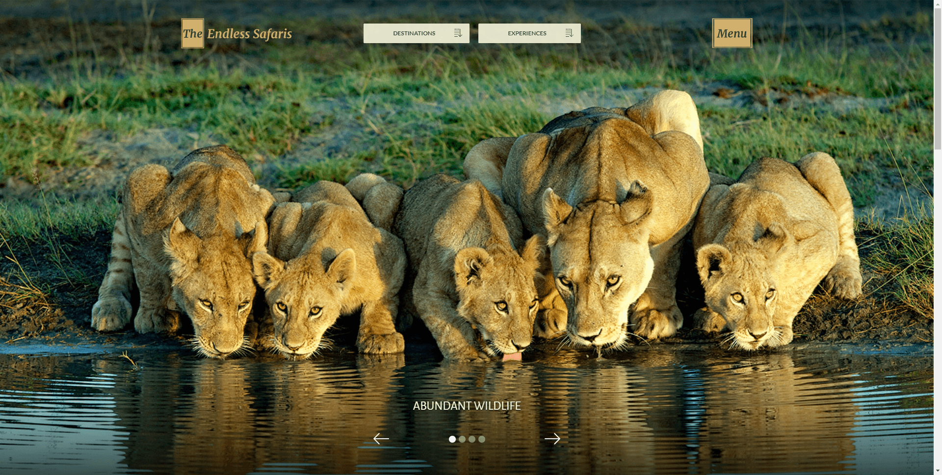 The Endless Safaris